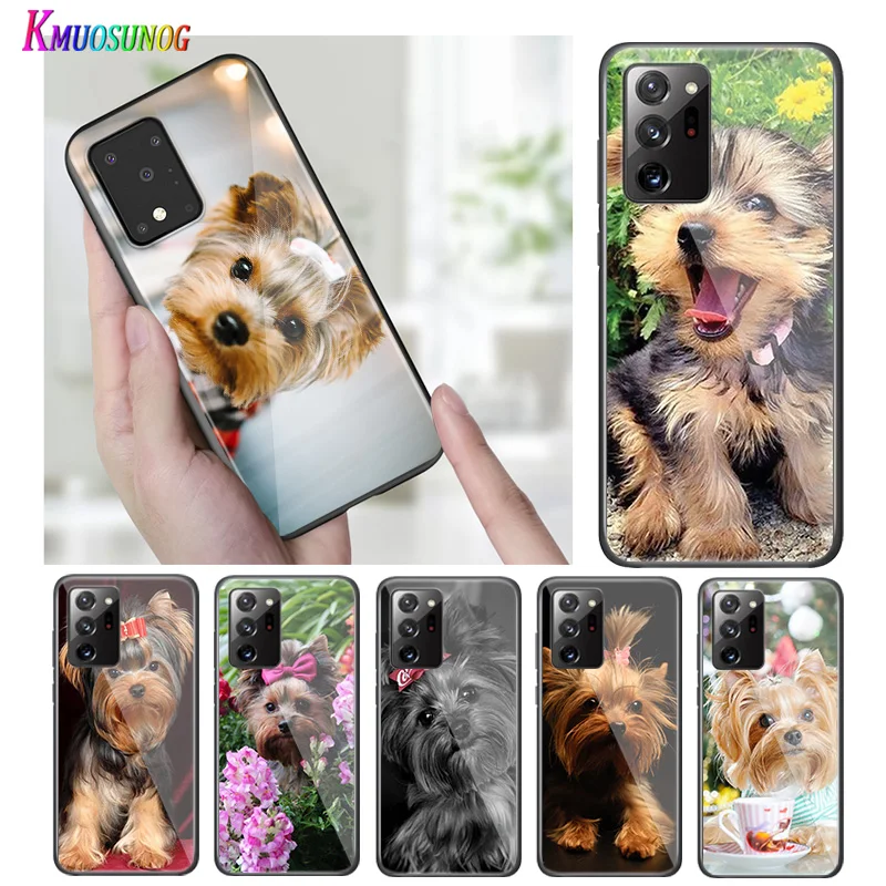 Яркий черный чехол для телефона Samsung S20 Ultra Plus A91 A81 A71 A51 A41 A31 A21 A21S A11|Бамперы| |
