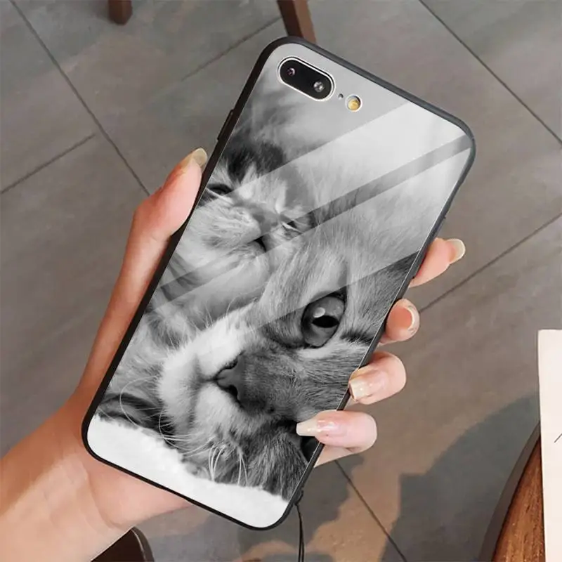 

Cute Animal Cat high quality shell Phone Case Tempered glass For iphone 5C 6 6S 7 8 plus X XS XR 11 PRO MAX