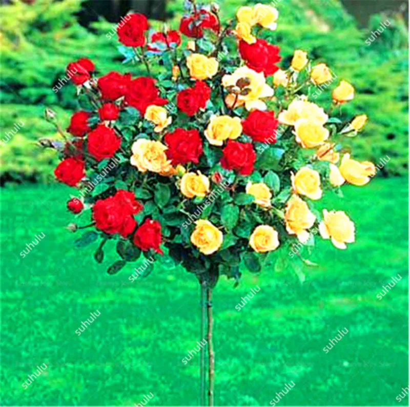 200 шт. искусственная Роза | Дом и сад