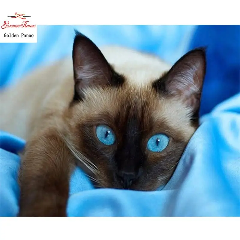 Square Diamond Diamond Embroidery Cat Diamond Painting Cross Stitch Animal Square Diamond Mosaic Home Decoration