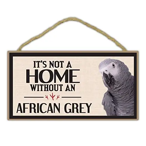 

Жестяной знак 8x12 дюймов, декоративная фотография, без африканского серого попугая