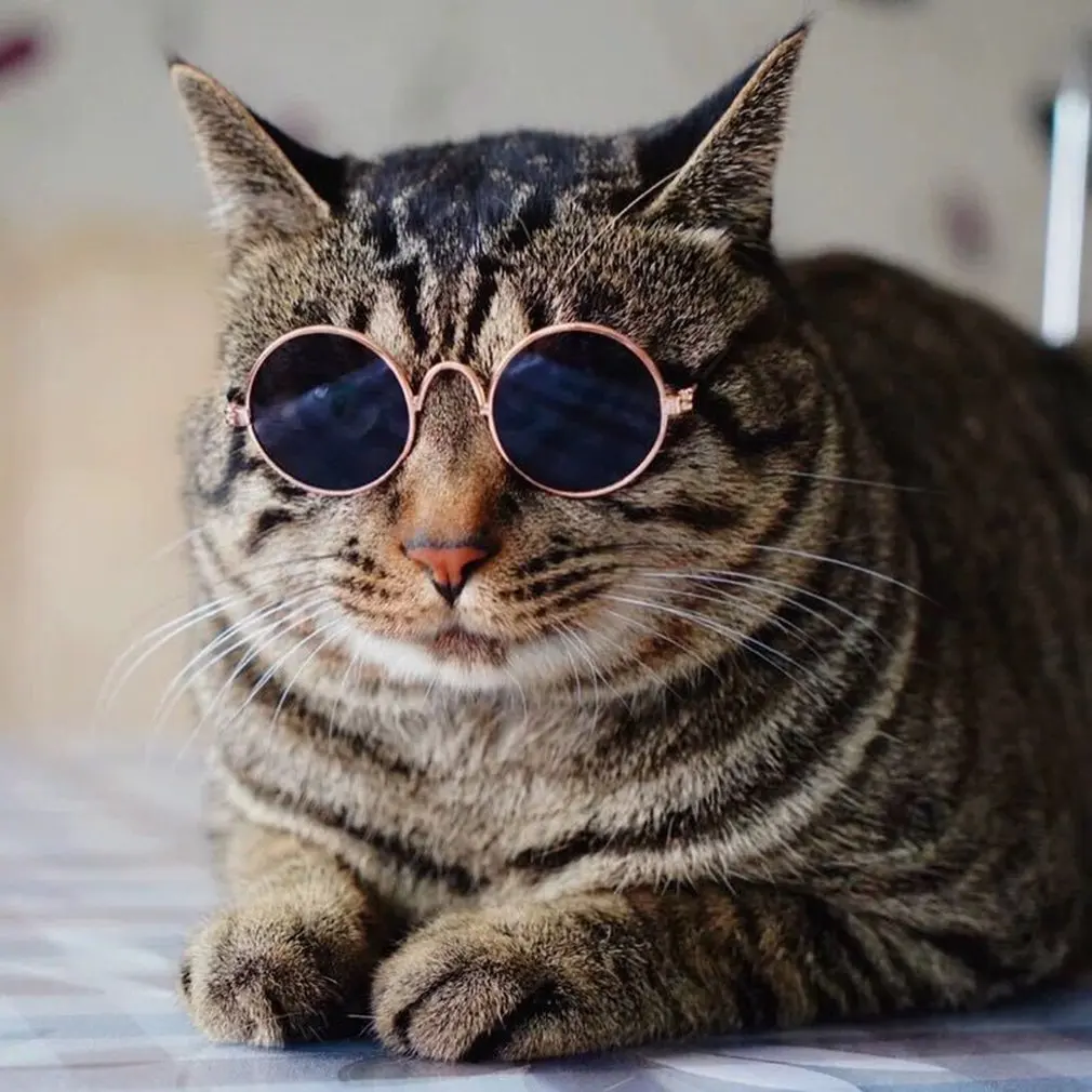 

2020 New Doll Toy Cool Sunglasses For American toy Baby toy Pet Photo Prop Pet Glasses Doll Sunglasses Pet Cat Eye Protection