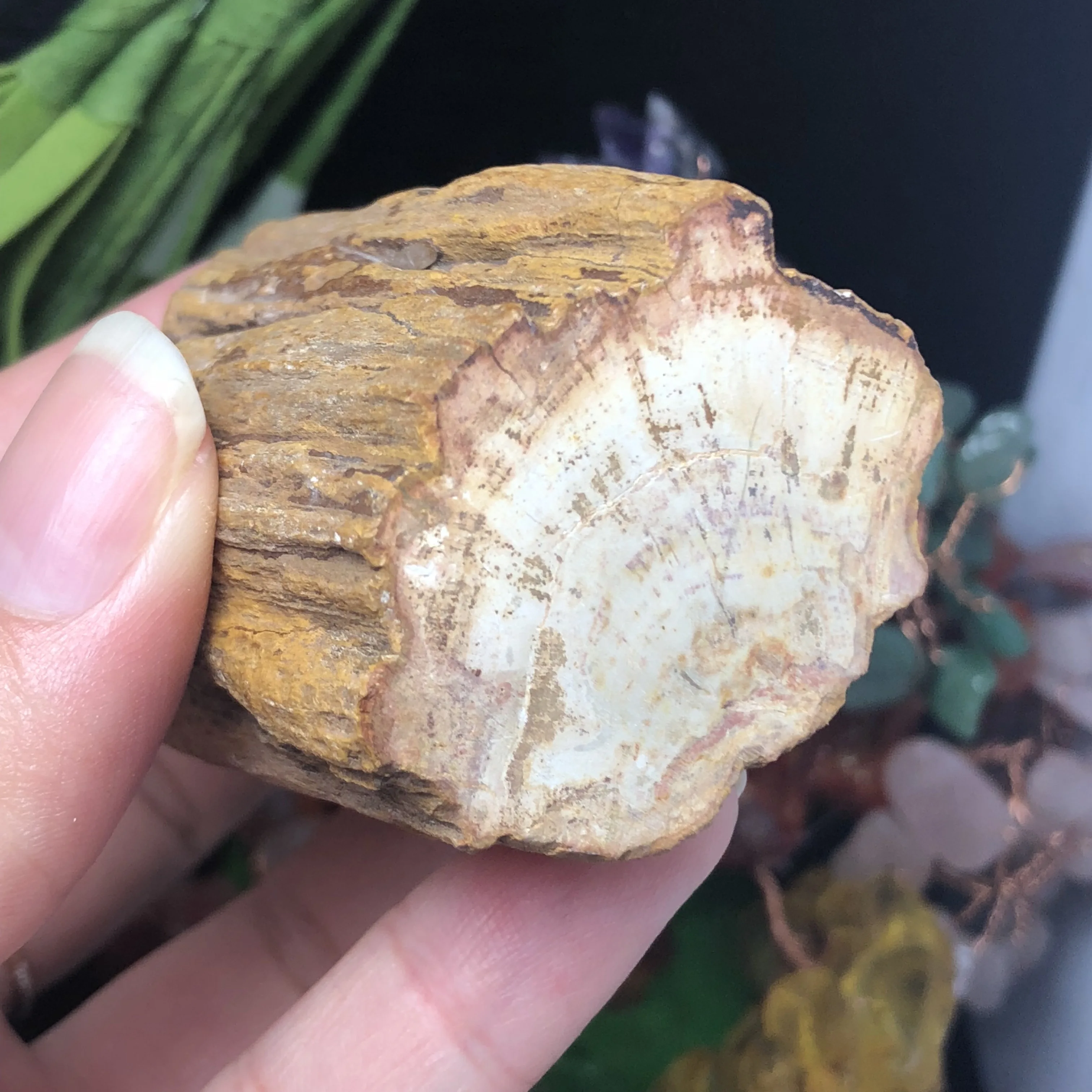 Натуральный окаменевшая древесина оригинальный камень сырой кварцевый минерал