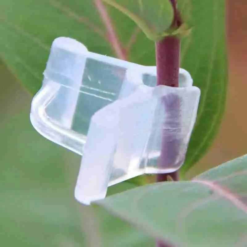 

50pcs Garden Grafting Clips Plastic Transparent Vegetable Flower Plants Grafting Clips Gardening Ornaments Tools