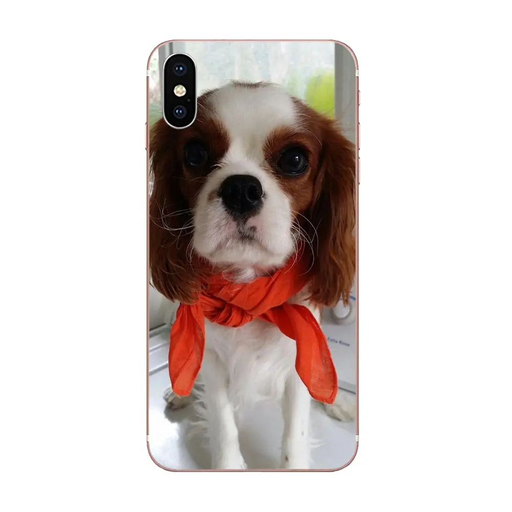 Кавалер King Charles Spaniel щенки собаки для Huawei P7 P8 P9 P10 P20 P30 Lite Mini Plus Pro Y9 Prime P Smart Z 2018 2019 |