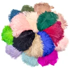 10 шт.партия, декоративные страусиные перья, 15-20 см25-30 см30-35 см