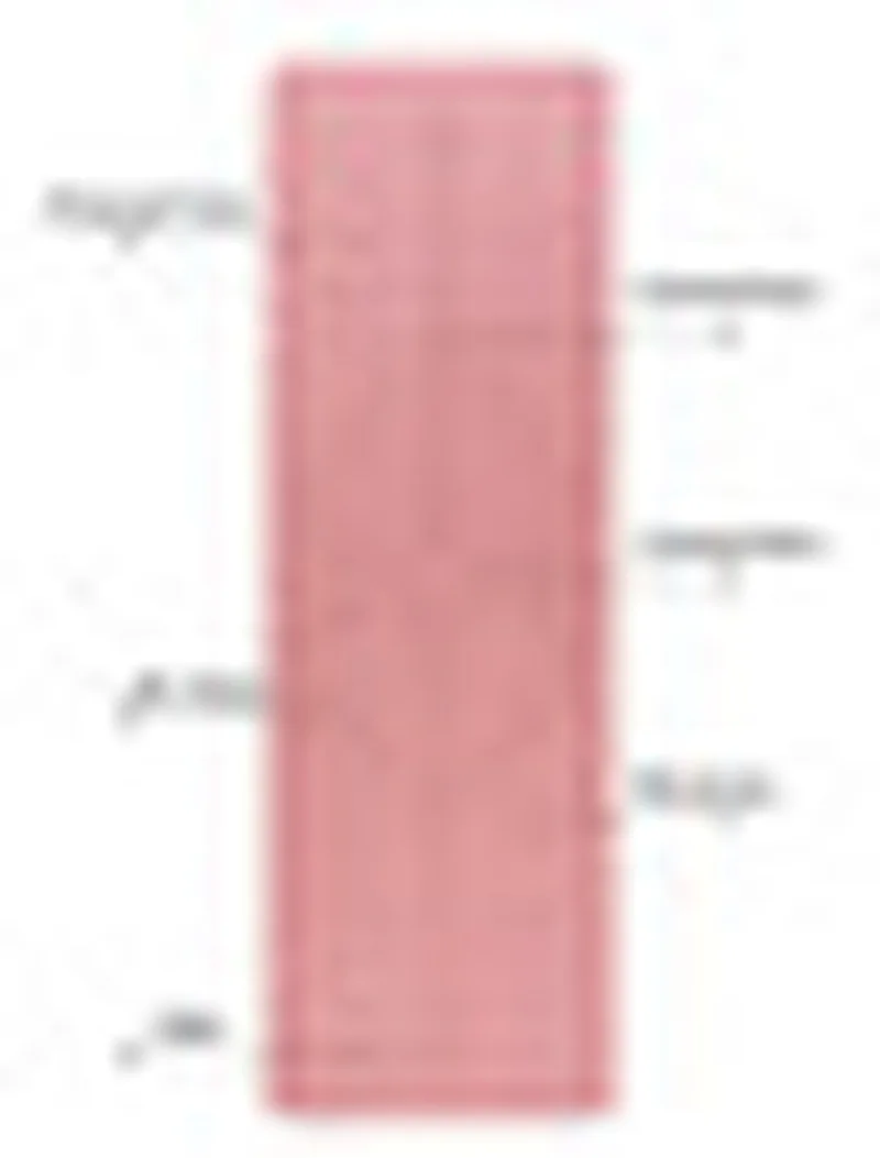 TPE1830*61*6mm Yoga Mat With Position Line Fitness Gymnastics Mats Double Layer Non-slip Beginner Sport Carpet Pads | Спорт и