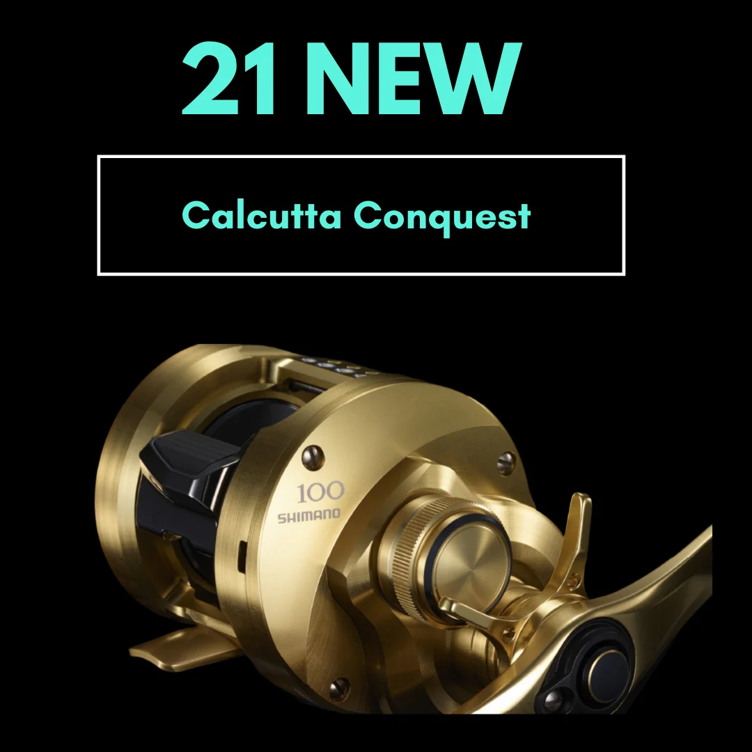 2021 Новое поступление Shimano завоевания Калькутта CQ 100HG 7 4: 1 220 г 13 + Макс Перетащите 4