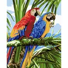 Набор для рисования по номерам CHENISTORY, для взрослых, подарок-попугай сделай сам, 60x75 см, акриловая краска в рамке для раскрашивания на холсте, украшения для дома