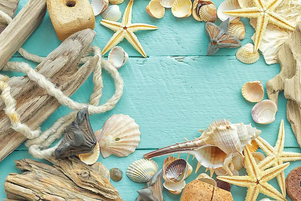 

SHENGYONGBAO Vinyl Custom Photography Prop Starfish Beach theme Photo Studio Background T19912-2106