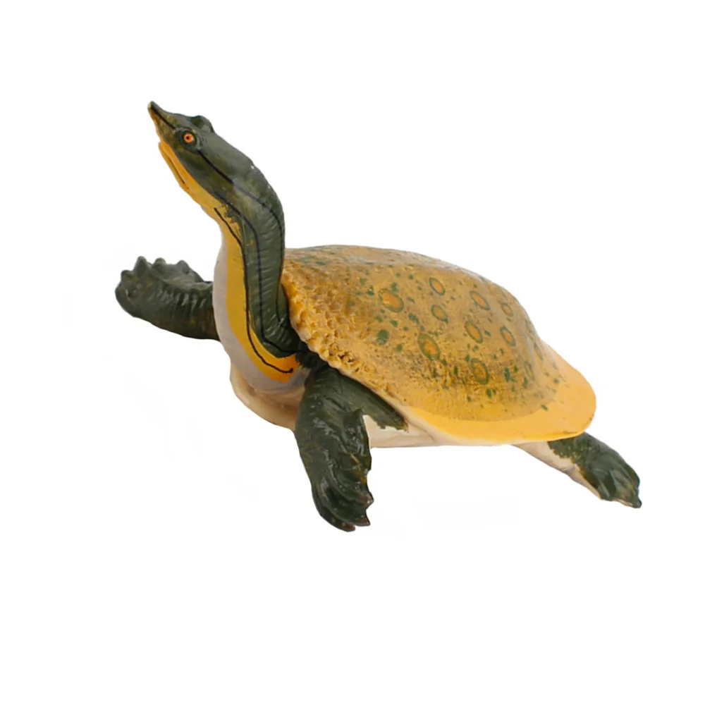 

1Pc Creative Turtle Model Decoration Ornamental Turtle Simulation Animal