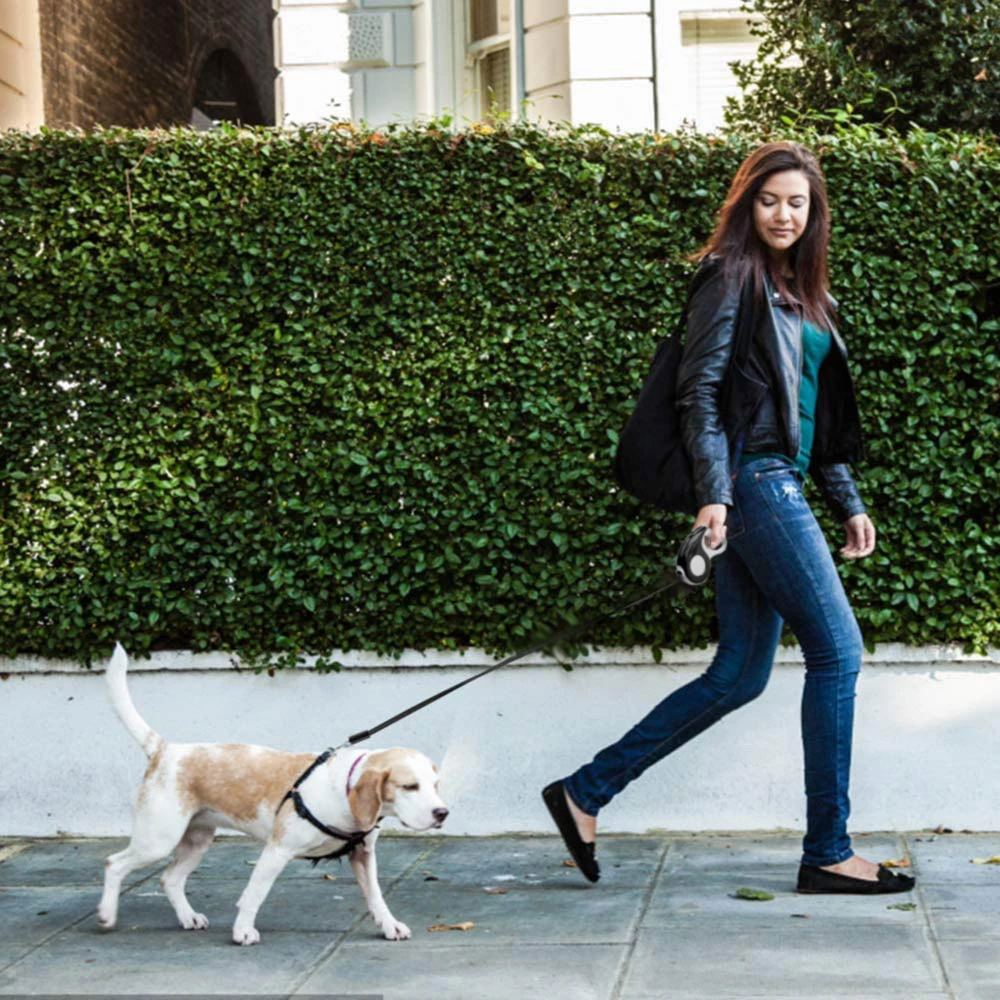 

Reflective Retractable Dog Leash For Small Medium Dog No Tangle Nylon Ribbon Retractable Dog Leash for Puppy Cat Accessories