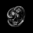 Кольцо мужское, из нержавеющей стали, в стиле панк, с черепом сатаны, дьявола