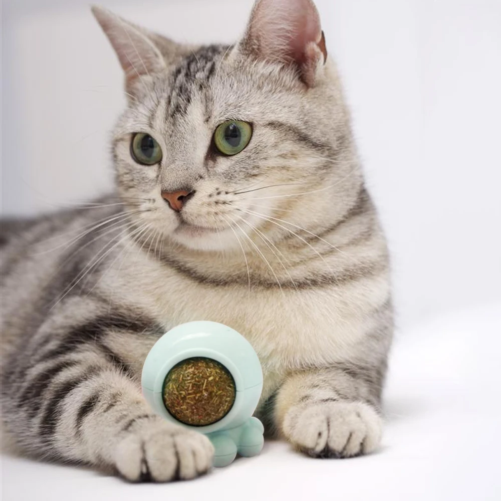 Съедобные натуральные кошачьи игрушки милый игрушечный Кот осьминог форма кошка