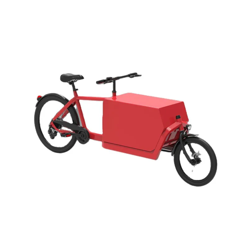 

Pedal Electric 2 Wheel Dutch Cargo Bike Sport Style Children Tricycle Adult Bicycle for Europe
