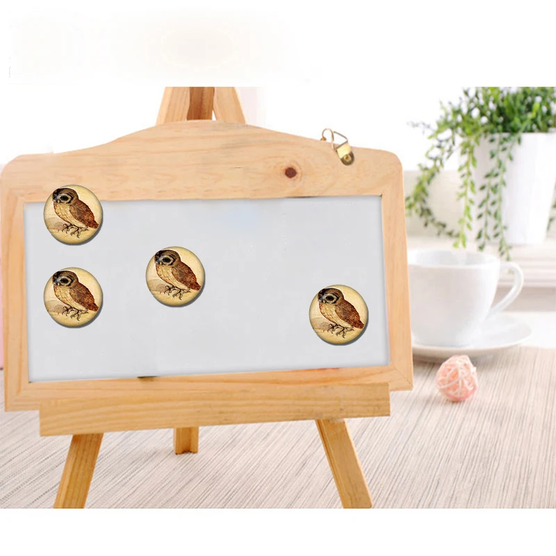 Магнит на холодильник с изображением маленькой совы 30 мм | Дом и сад