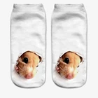 Новинка, женские носки 3D Printi, милые носки унисекс с низким вырезом, многоцветные повседневные забавные носки для хомяка, собаки, кошки, обезьяны, совы