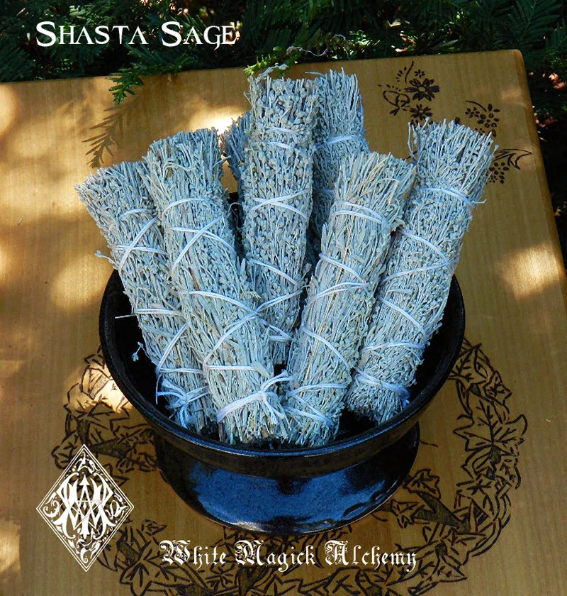 Дезинфекция дезинфекция стерилизация очистка отрицательная энергия | Дом и сад