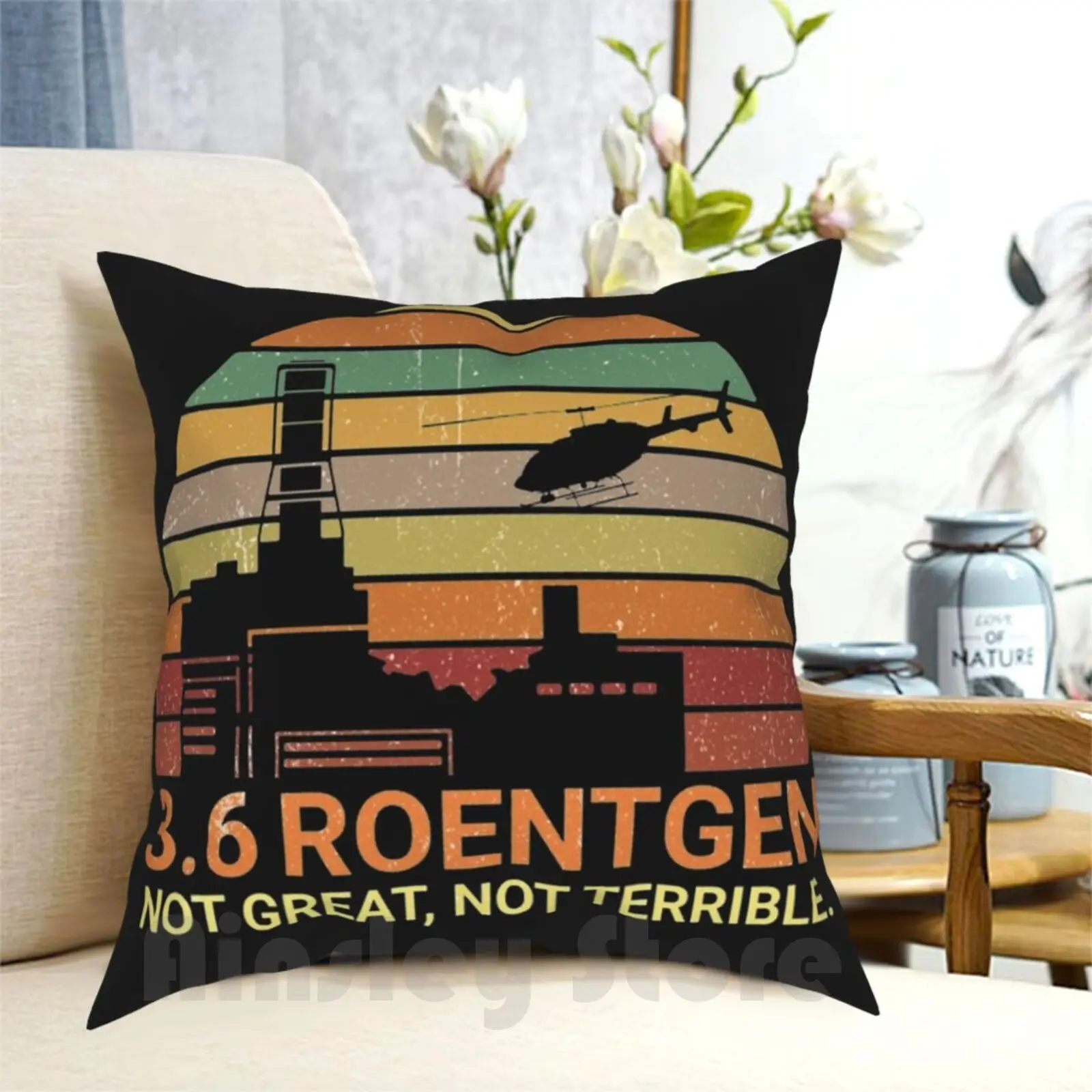 

3,6 г., Roentgen, не отличная, не ужасная, Черпак для ученых в винтажном стиле, подушка, домашняя мягкая подушка с принтом, 36