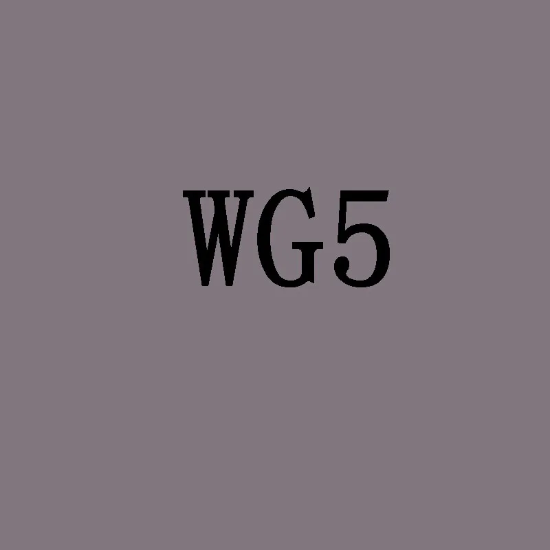 WG5 1 шт., 168 цветов, эскизный маркер, маслянистая художественная школьная Ручка, двуглавый, товары для рукоделия, маркеры для рисования, маркеры, набор, манга - Цвет: WG5