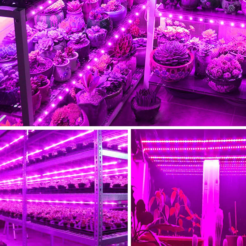 

LED strip light to promote plant growth 2835SMD DC5V full spectrum plant light strip for indoor planting decorative lighting