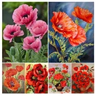 Алмазная картина 5D 