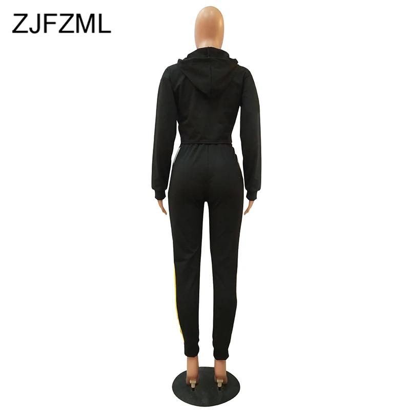 

Panelled Fitness 2 Piece Set Track Suit Women Clothes Hooded Full Sleeve Crop Top and Causal Pencil Pants Plus Size Fall Outfits