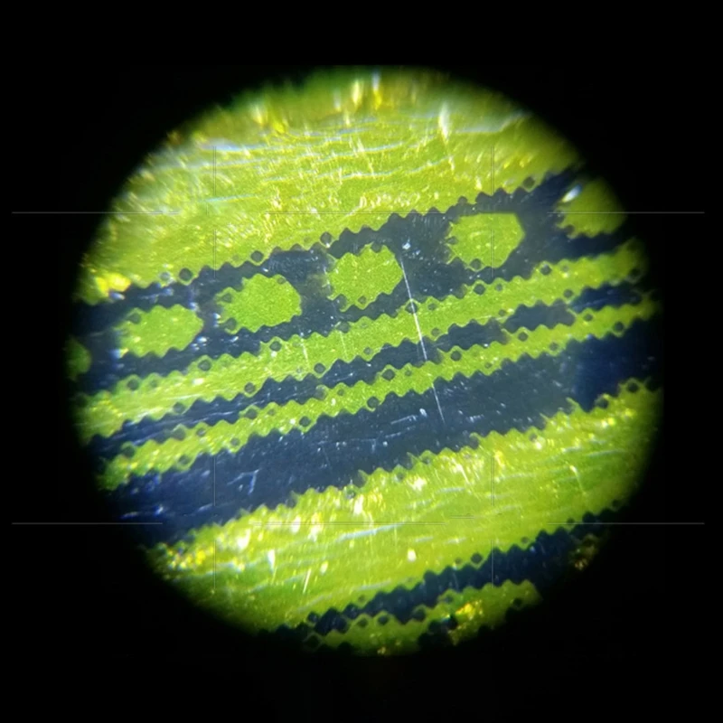 

Новинка 2021, карманный микроскоп с увеличительным стеклом в виде ручки 50X со светодиодсветильник кой, карманный микроскоп
