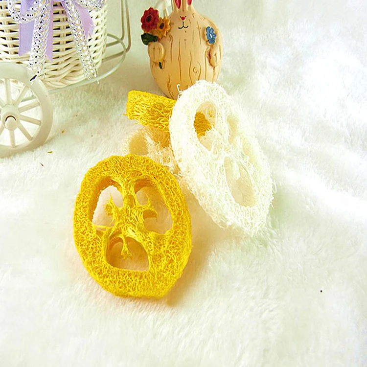 

Hot Sale 2pcs/Lot Random Color Natural Loofah Birds Toys Parrot Bird Parrot Accessories Toys
