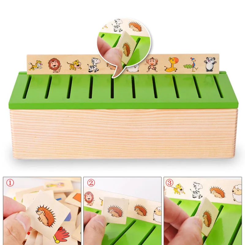 QWZ математические знания Классификация познавательный на поиск соответствия