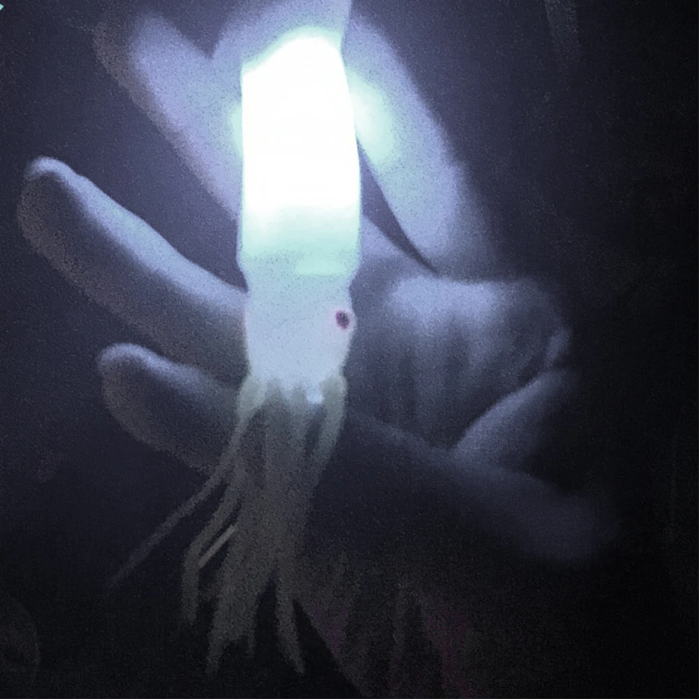 12 см светодиодный светильник на открытом воздухе световой Троллинг силиконовая