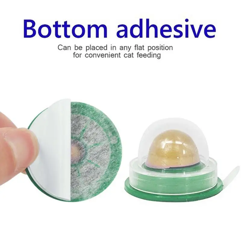 Здоровая кошачья мята закуски сладости питание энергетический мячик игрушка для