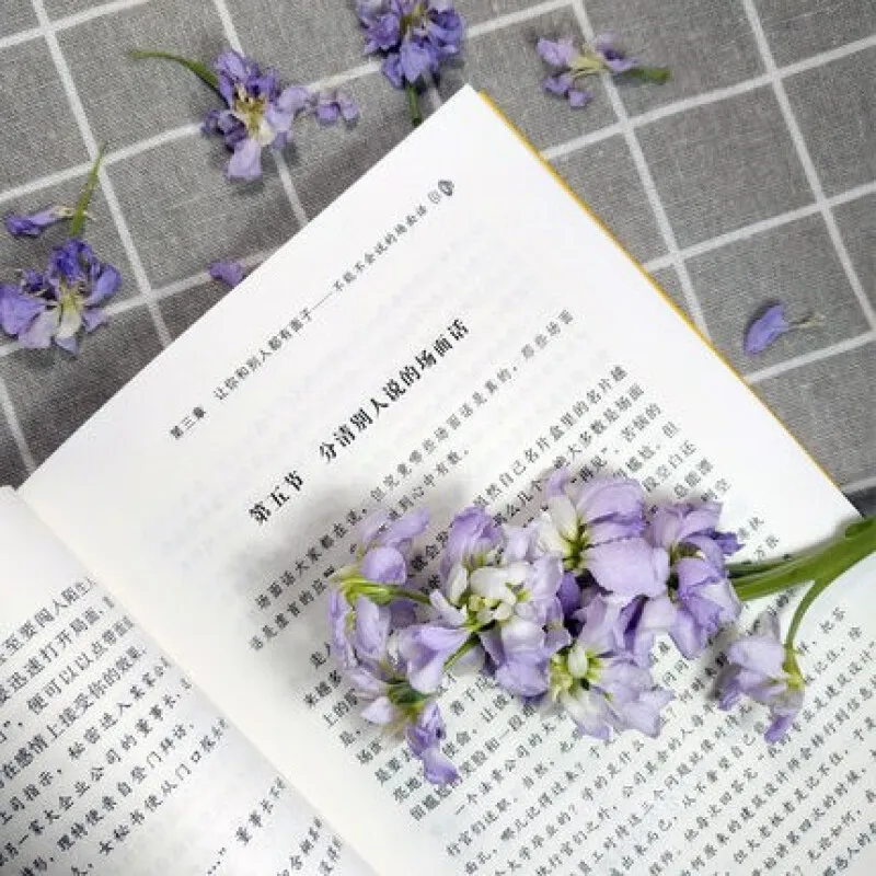 

Flattering Speak Mode Eloquence Talk Back of Training Skills High EQ Chat of Improve Communication