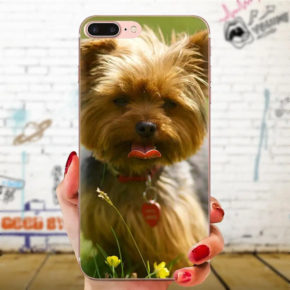 Yorkshire Terrier For Xiaomi Redmi Note 2 3 3S 4 4A 4X 5 5A 6 6A Pro Plus Soft TPU Mobile Phone | Мобильные телефоны и