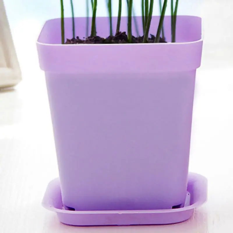 Креативный Настольный пластиковый мини поднос для растений персонализированные