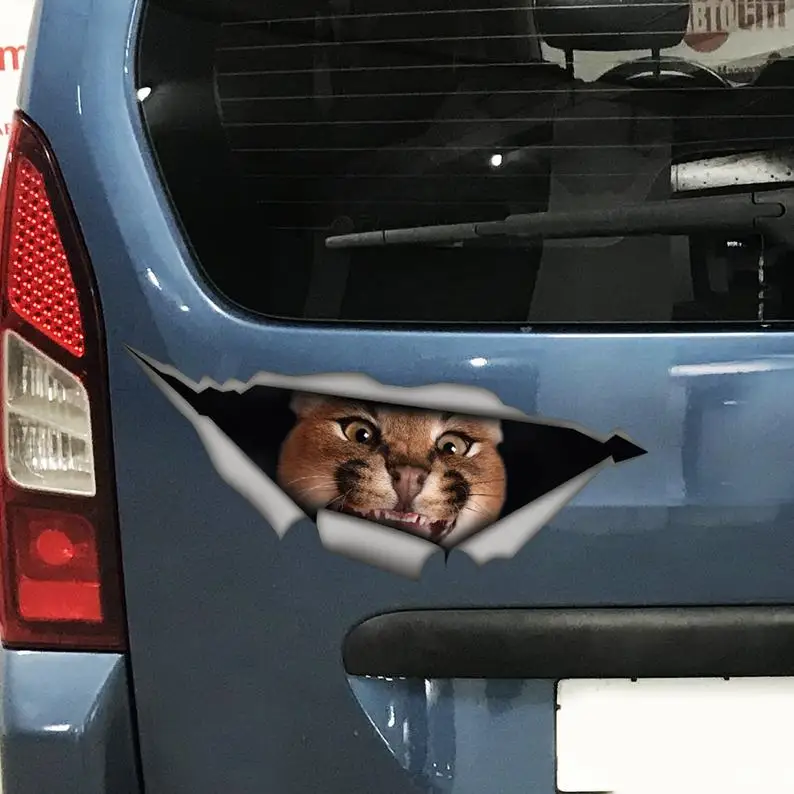 

2021 Caracal car sticker, Caracal car decal, Caracal magnet