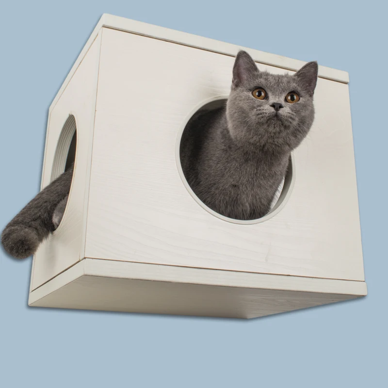 Игрушка для кошек стена кошачий помет пружинная доска игрушка мебель Отдых