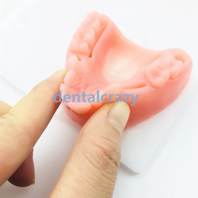 4 шт./компл. стоматологический пероральный/десен учебный модуль силиконовая