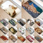 Коврик для входной двери с забавным принтом кота, нескользящий домашний декор 40x60, коралловый флисовый коврик для гостиной, коврики для ванной 48237-2