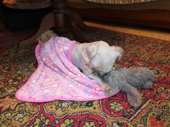 Одеяло для собак или кошек одеяло домашних питомцев теплое мягкое пушистое s