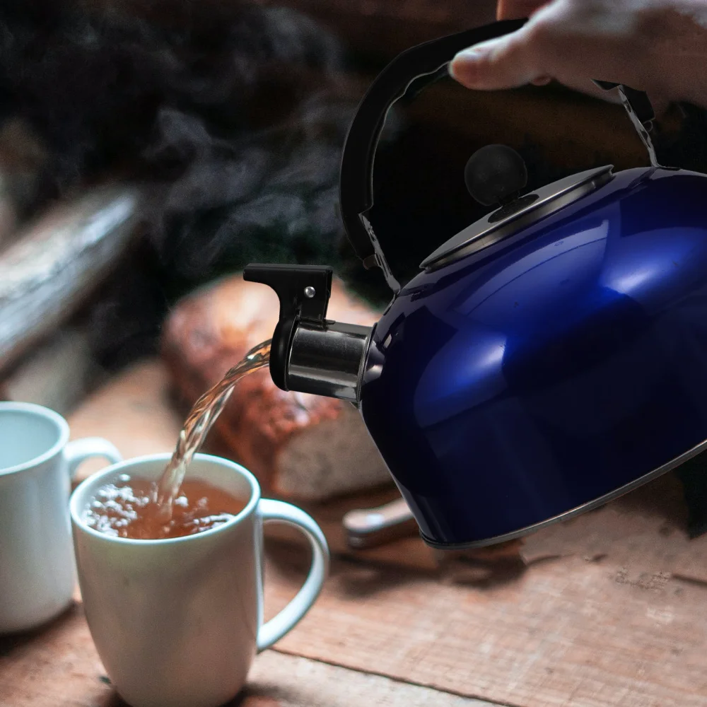 

Whistling Tea Kettle Household Kitchen Tea Kettle Professional Whistling Kettle