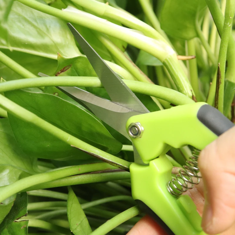 Садовые ножницы из нержавеющей стали для сбора фруктов отделка в горшке ветки