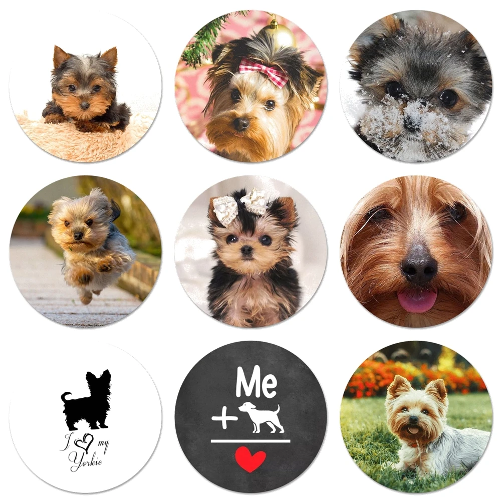 

Магнитные наклейки для холодильника, 58 мм