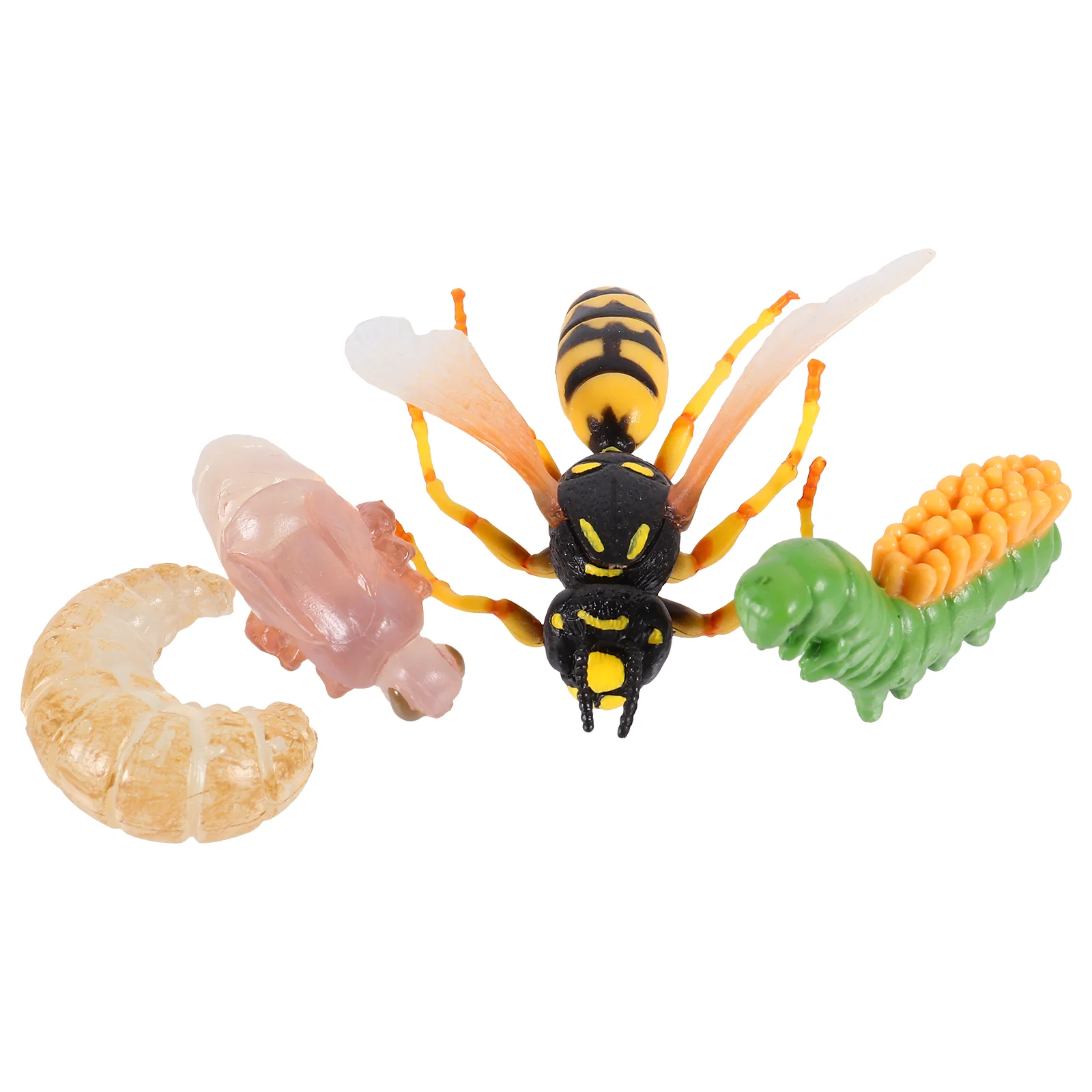 

1 Set/4pcs Realistic Insect Growth Model Wasp Display Ornament Kids Cognitive