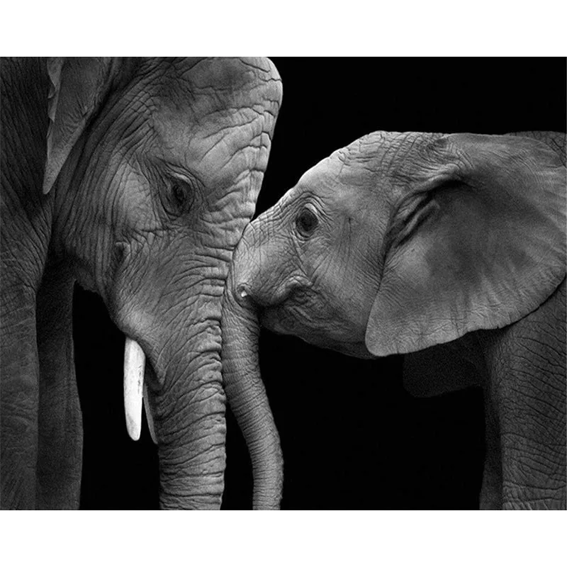 Mondern держатель для фото животных DIY Рисование на холсте по номерам настенные