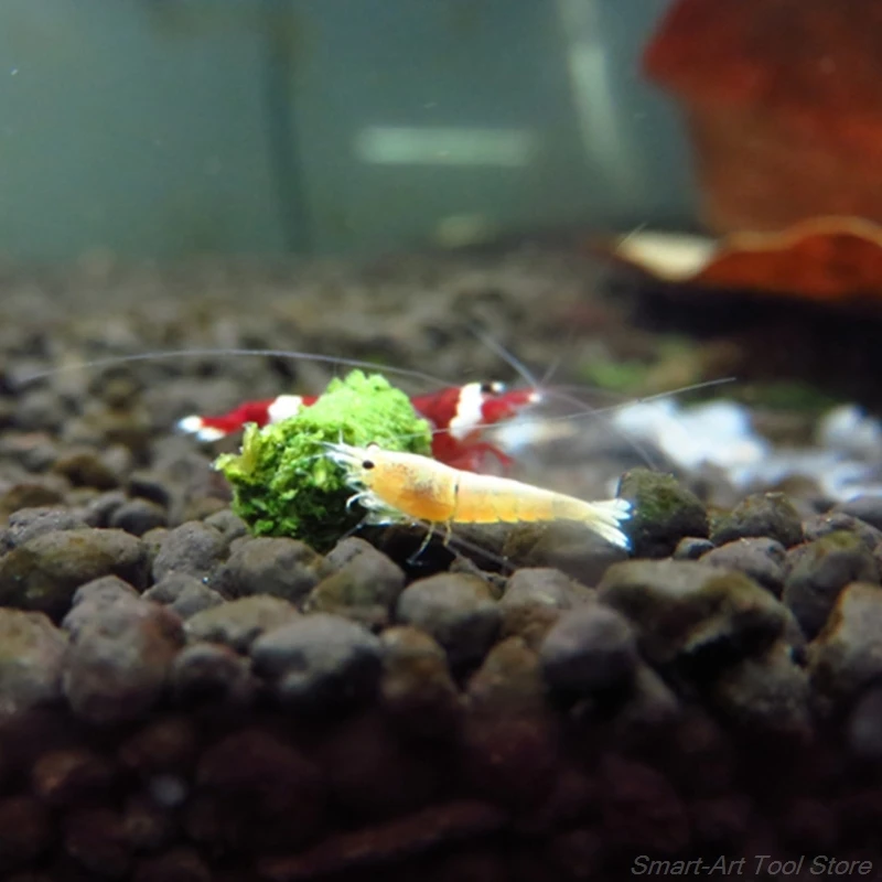

35g Crystal Red Shrimp Food Natural Spinach Mixed Ingredient Aquarium Fish Tank F25 21 Dropshipping