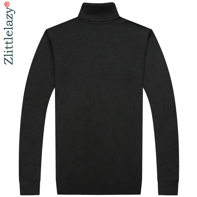 Свитер мужской плотный теплый с высоким воротом 52529 | Мужская одежда