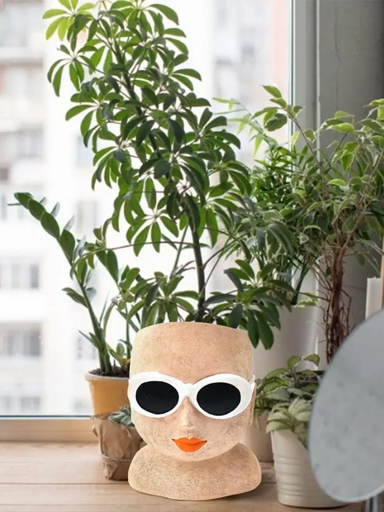

Face Flower Pot Cute Head Planter Pot Succulents Plant Pot With Drainage Hole Innovative Art Resin Cactus Planter Character