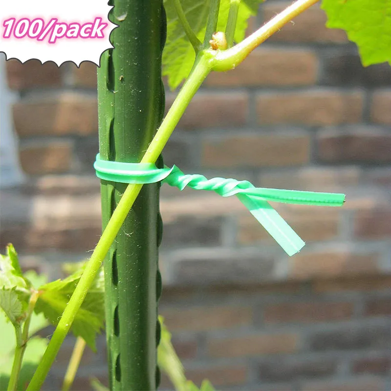 

100pcs Garden Plant Twist Ties Plastic Twist Ties Multi-Use for Secure Vine Gardening Plant support Wire tomato Grape,etc.