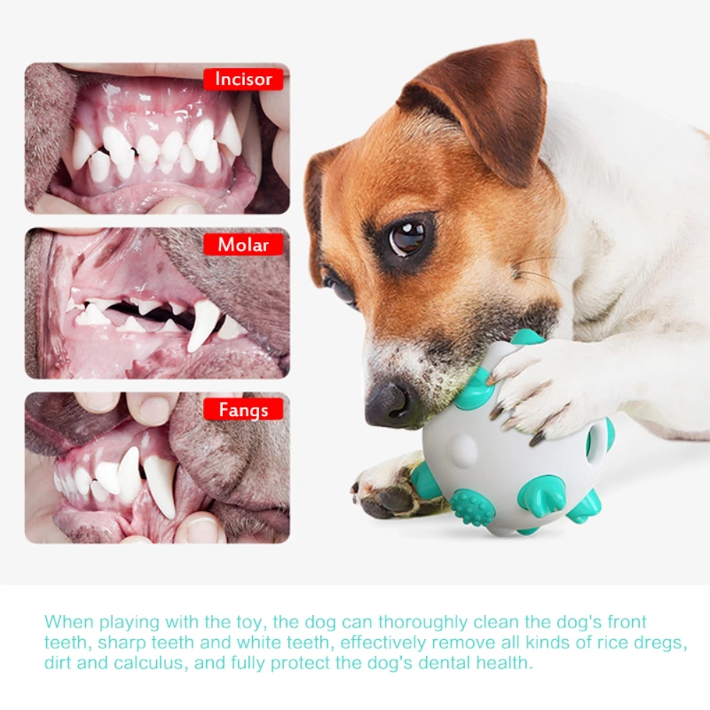 

Puppy Chew Toys Dog Teething Durable Interactive Dog Puzzle Toys Chew Balls Tooth Brush for Puppies